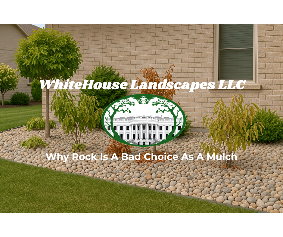 Why Rock Makes A Poor Mulch