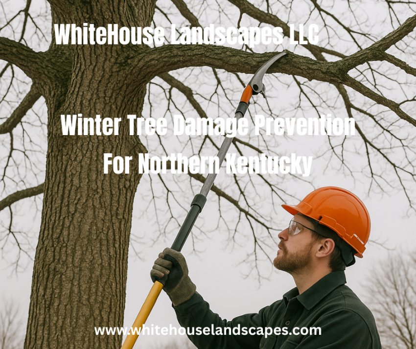 Winter Pruning for damage prevention