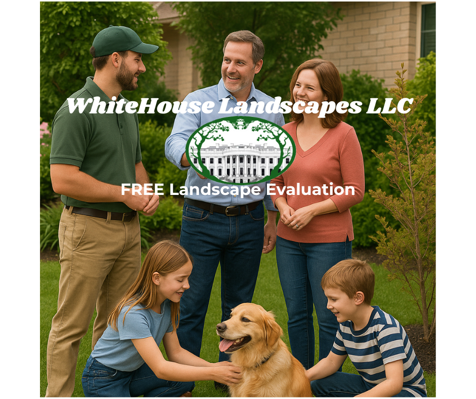 Free Landscape Evaluation