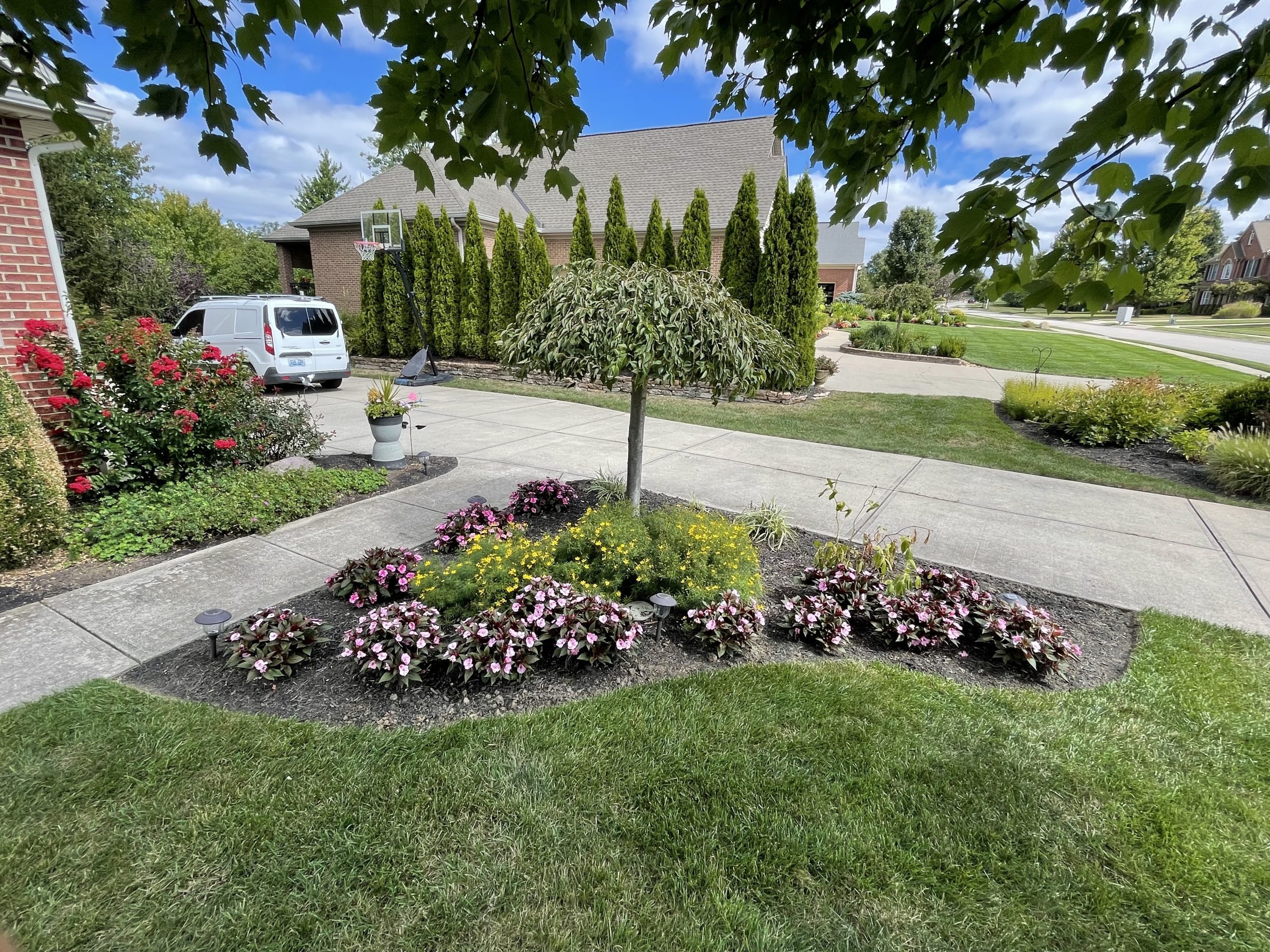 A Landscape accent point